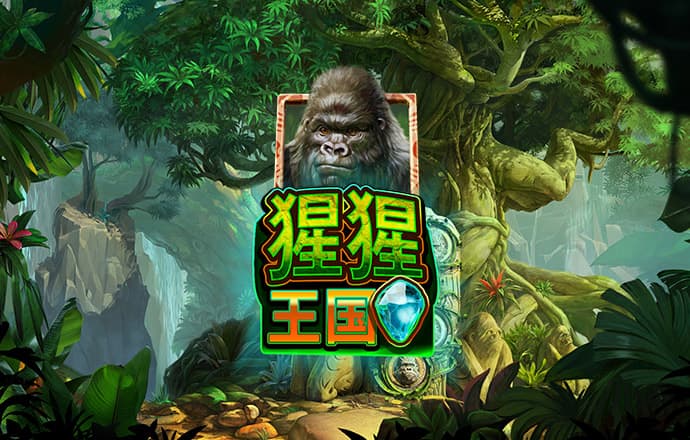 XY1123:COM-WWW:XY1123:COM截图3